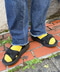 thumbail5