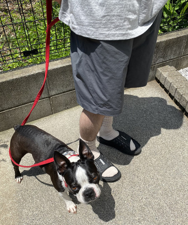 平柳 楓馬さんの「BEAMS WOMEN｜」を使ったコーディネート