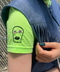 thumbail6
