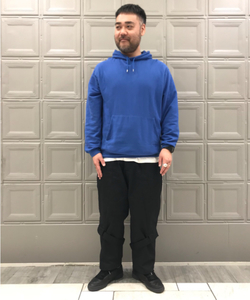 styling_image