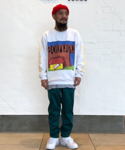 styling_image