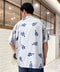 thumbail4