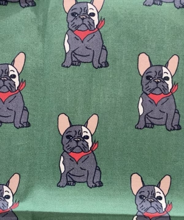 住吉　明佳さんの「BEAMS WOMEN｜」を使ったコーディネート