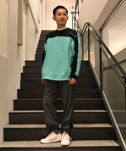 styling_image