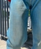 thumbail8