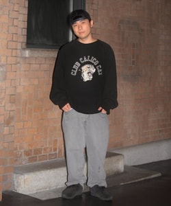 styling_image