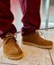thumbail7