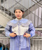 thumbail4