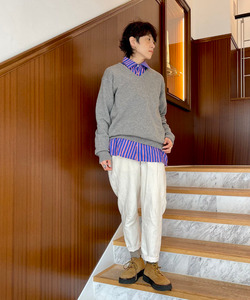 styling_image