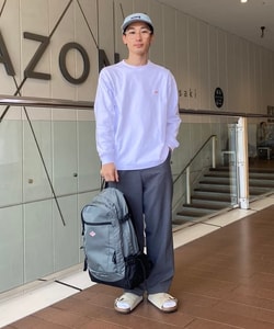styling_image