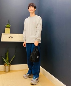 styling_image