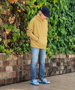 styling_image