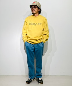 styling_image
