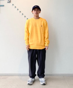 styling_image