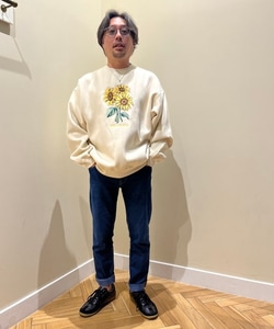 styling_image