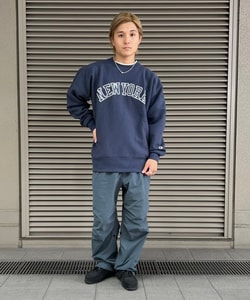 styling_image