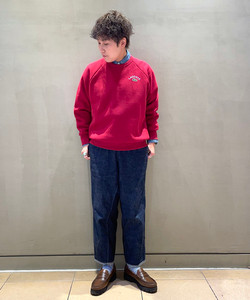 styling_image
