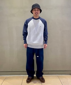 styling_image