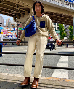 styling_image
