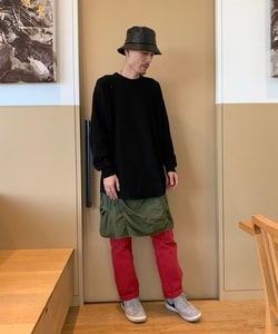 styling_image