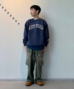 styling_image