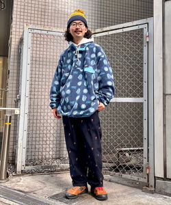 BEAMS（ビームス）patagonia / Lightweight Synchilla Snap-T Pullover 