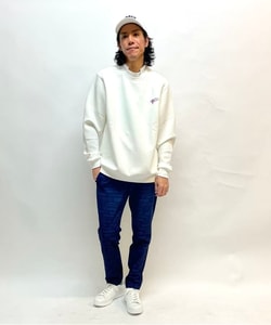 styling_image