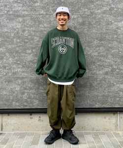 styling_image