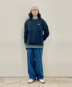 styling_image
