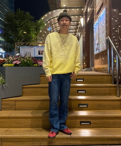 styling_image