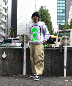styling_image
