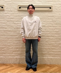 styling_image