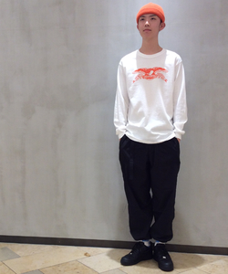 styling_image