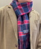 thumbail5