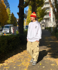 styling_image
