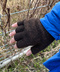 thumbail9