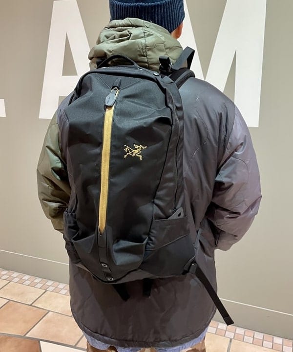 ✨ほぼ未使用✨ ARCTERYX アークテリクス ARRO 22 バックパック-