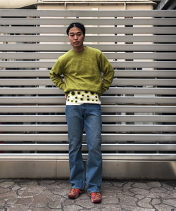 styling_image