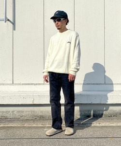 styling_image