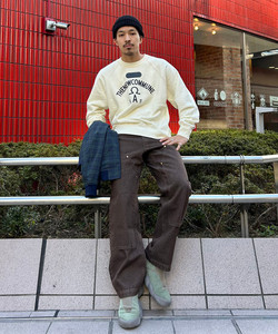 styling_image