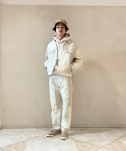 styling_image