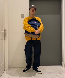 styling_image