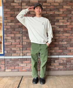 styling_image