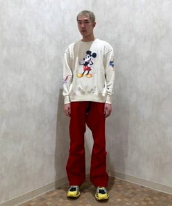 styling_image