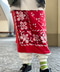 thumbail5