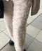 thumbail8