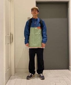 styling_image