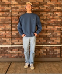 styling_image