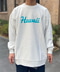 thumbail4