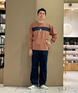 styling_image